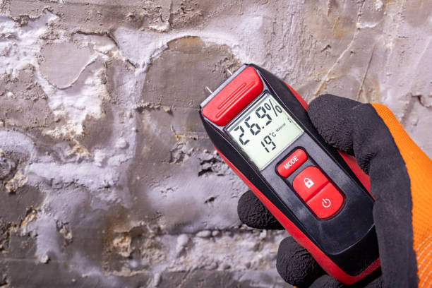 Best Attic Mold Remediation in Lebanon, KY