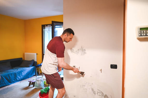Best Emergency Mold Remediation in Lebanon, KY